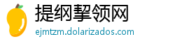 提纲挈领网